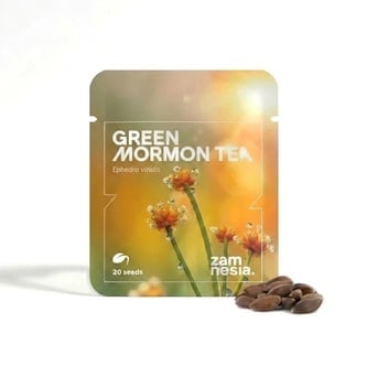 Graines de Green Mormon Tea (Ephedra viridis) 20 Graines