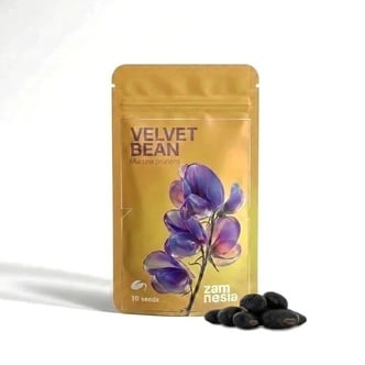Graines de Velvet Bean (Mucuna pruriens)
