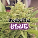 Godzilla Glue (Dr. Underground) féminisée