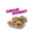 Grease Monkey (Phat Panda) Féminisée