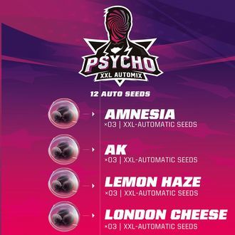 Psycho XXL Auto MIX (BSF Seeds) féminisée