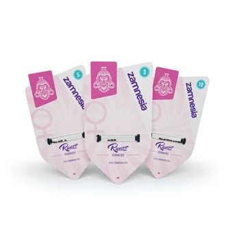 Runtz (Zamnesia Seeds) féminisée