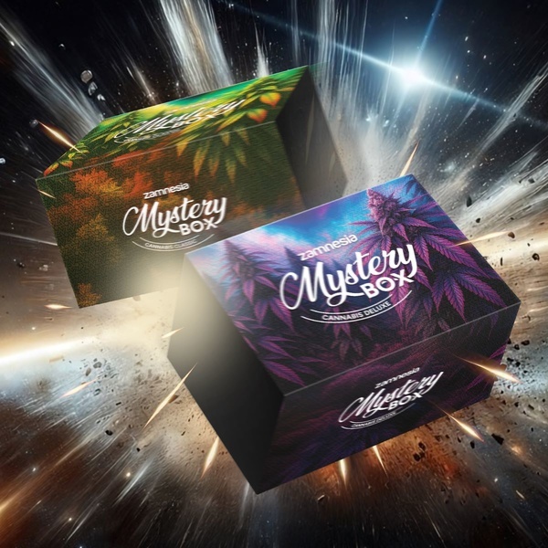 Boîte Mystère Cannabis (Zamnesia)