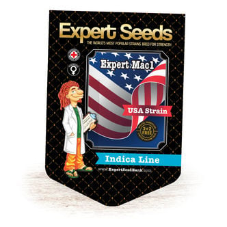 Expert Mac1 (Expert Seeds) féminisée