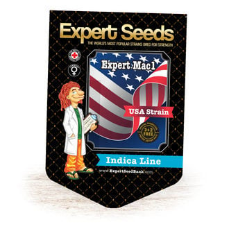 Expert Mac1 (Expert Seeds) féminisée