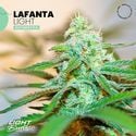 Lafanta Light Auto (Light Buds) féminisée