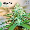 Lafanta Light Auto (Light Buds) féminisée