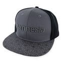 Casquette Gris Snapback Zamnesia