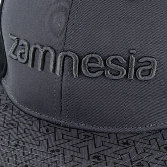 Casquette Gris Snapback Zamnesia