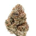 Octane Fire (Growers Choice) féminisée