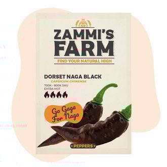 Graines de Dorset Naga Black