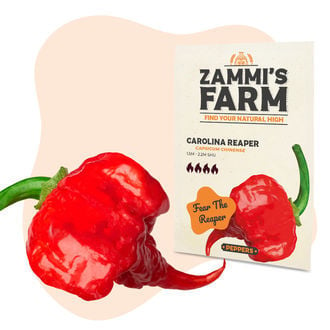 Graines de Carolina Reaper