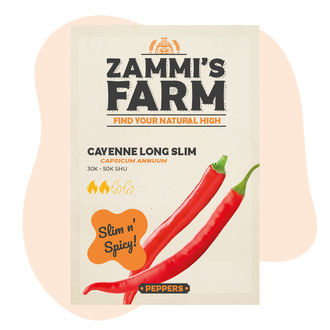 Graines De Piment De Cayenne Long Slim