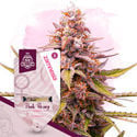 Pink Rozay (Zamnesia Seeds) féminisée