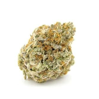 Forbidden Runtz XL Auto (Growers Choice) féminisée
