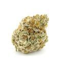 Forbidden Runtz XL Auto (Growers Choice) féminisée