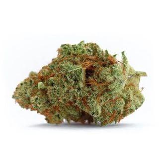Naranja Biscotti Fast Version (Growers Choice) féminisée