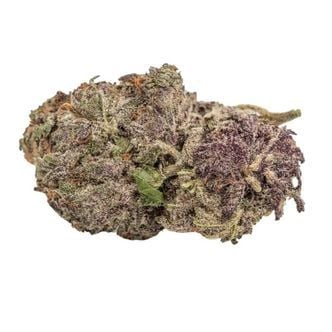 Ultra Violet GMO (Growers Choice) féminisée