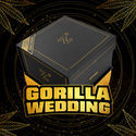 Gorilla Wedding (BSF Seeds x Zamnesia Seeds) féminisée
