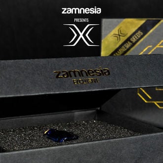 X (Zamnesia Seeds) Féminisée