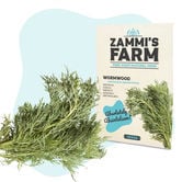 Graines d'Absinthe (Artemisia absinthium)