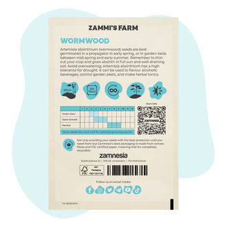 Graines d'Absinthe (Artemisia absinthium)