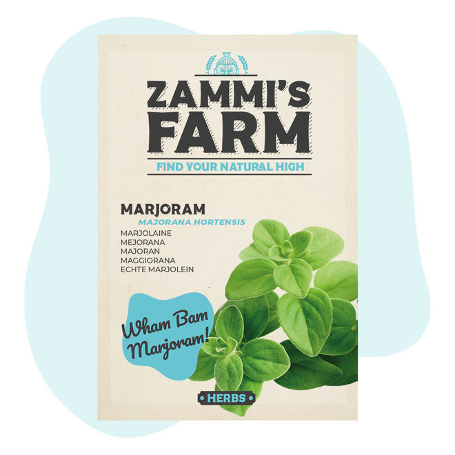 10 Graines De Marjolaine Annuelle (Majorana) - Herbe Aromatique Pour Cuisine - Semis Facile, Culture En Pot Ou Jardin - 6