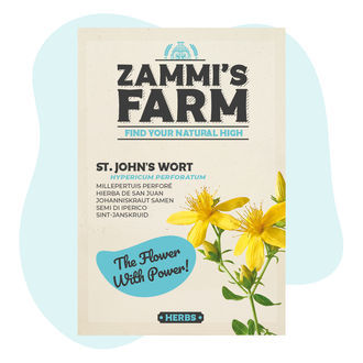 Graines de Millepertuis Perforé (Hypericum perforatum)