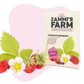 Graines de Fraisier des bois (Fragaria vesca)