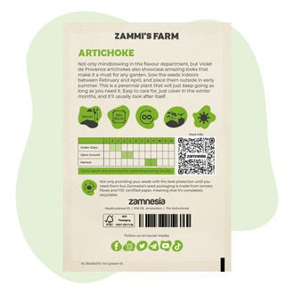 Graines d'Artichaut 'Violet de Provence' (Cynara Scolymus)