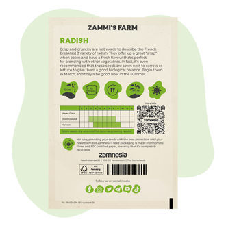 Graines de Radis 'French Breakfast 3' (Raphanus sativus)