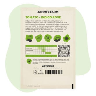 Graines de Tomate Indigo Rose (Solanum lycopersicum)