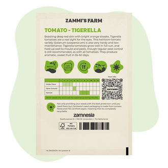 Graines de Tomate Tigerella (Solanum lycopersicum)