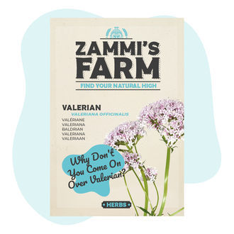 Graines de Valériane (Valeriana officinalis)