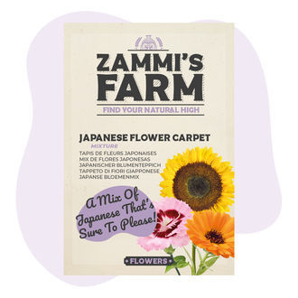 Graines de pelouse japonaise