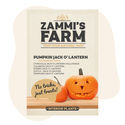 Graines Citrouille Jack O Lantern Halloween (Cucurbita pepo)