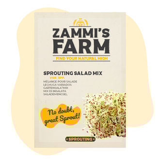 Mélange pour salade à germer