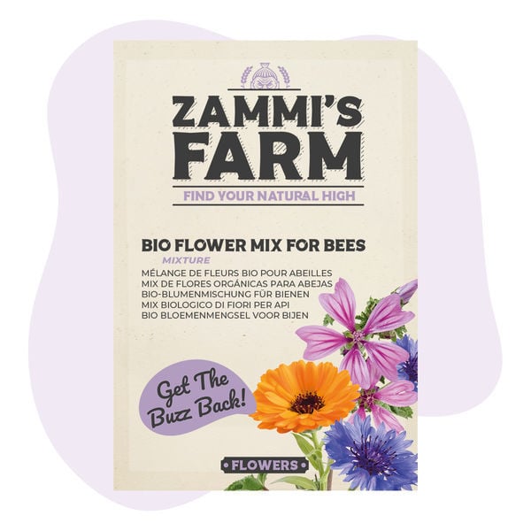 Mélange de Graines de Fleurs pour Abeilles