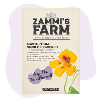 Graines de Capucine Fleur Unique (Tropaeolum majus)