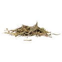 Sinicuichi (Heimia salicifolia) 20 grammes