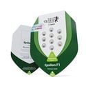 Epsilon F1 Automatic(Royal Queen Seeds) féminisée