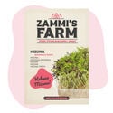 Micropousses de mizuna (Brassica rapa) - Graines