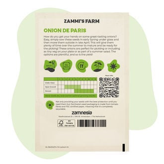 Graines d'Oignon blanc de Paris (Allium cepa)