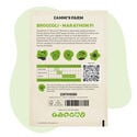 Graines de Broccoli Marathon F1 (Brassica oleracea)