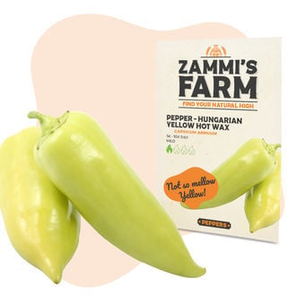 Graines de Piment Hungarian Yellow Hot Wax (Capsicum annuum)