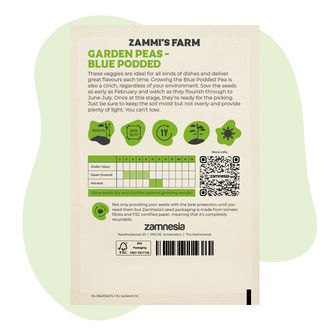 Graines de Petit Pois (Pisum sativum)