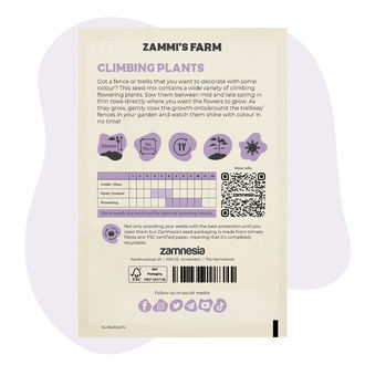 Mélange Graines fleurs grimpantes