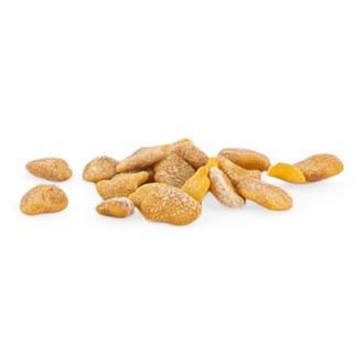 Ashwagandha (Withania somnifera) 20 graines