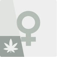 Graines De Cannabis Féminisées