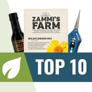 Top 10 Graines de Plantes